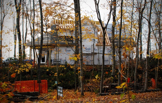 picture of late Autumn trees in front of a custom home being built on Lake Michigan